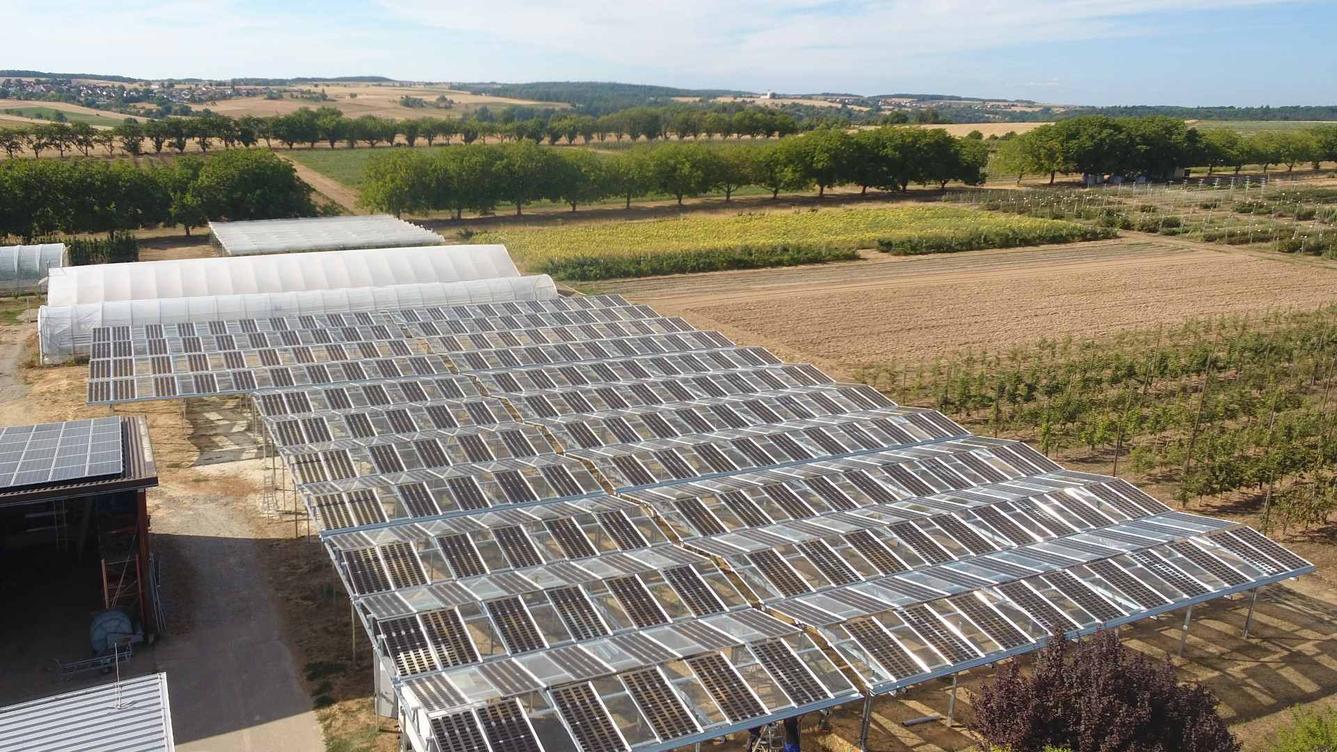 BayWa r.e. apuesta por los proyectos agrovoltaicos