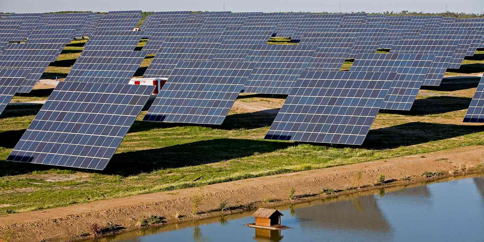 Grupo Violas sostenible con energía renovable de ACCIONA