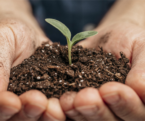FertiLab: residuos del agua para producir fertilizantes