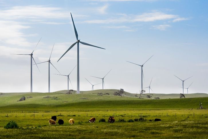 Iberdrola instala casi 3.000 MW en los últimos doce meses