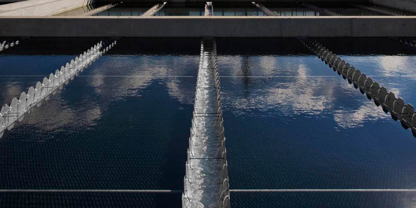 ACCIONA CDP agua y lucha cambio climático